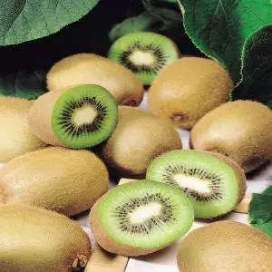 Kiwi deliciosa Jenny